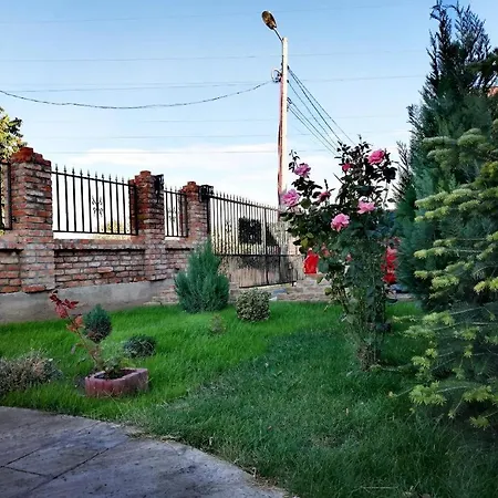 Гостевой дом Casa Alba Нэводари