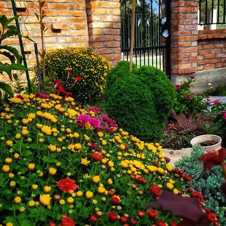 Гостевой дом Casa Alba Нэводари