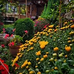 بيت ضيافة Casa Alba *