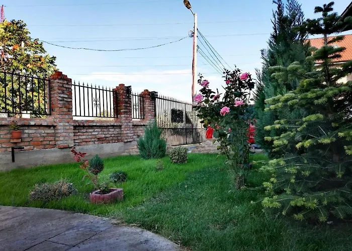 Guest house Casa Alba Navodari